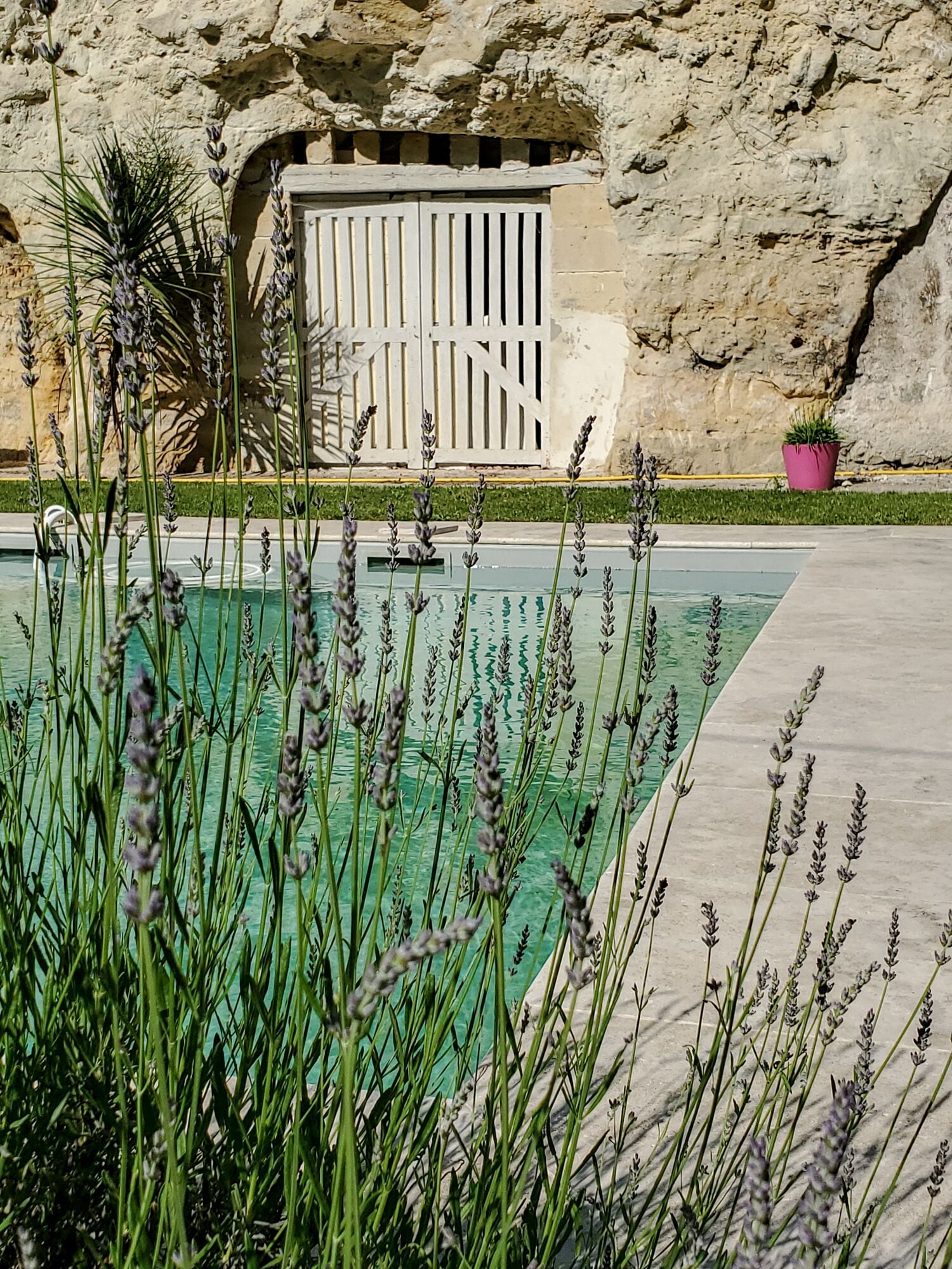 Ein Schwimmbad mit Lavendel vor der Vordergrund, eine Steinmauer und ein weißes Tor im Hintergrund.
