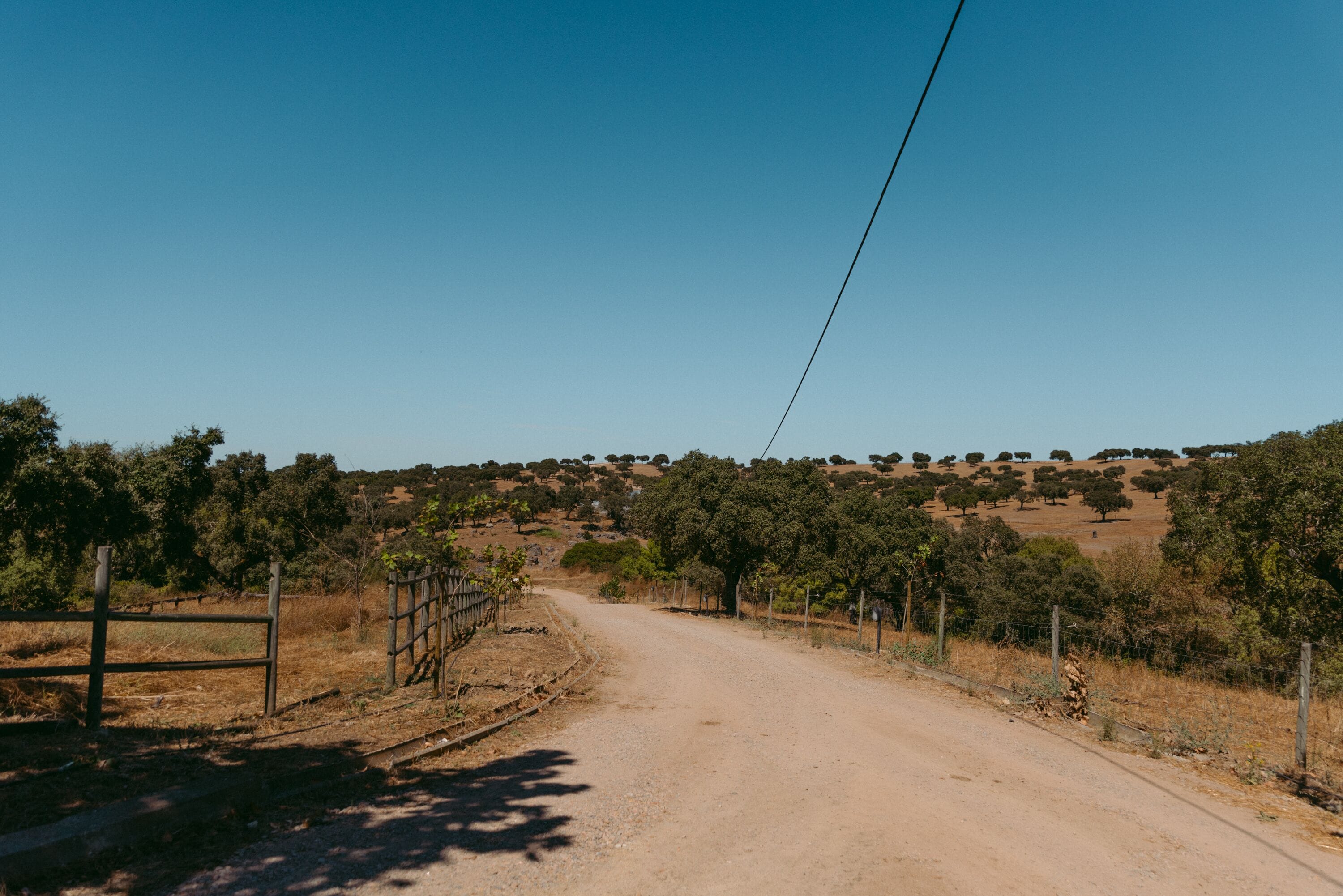 Un camino rural de tierra flanqueado por cercas y vegetación escasa, que lleva a un paisaje montañoso con árboles dispersos.