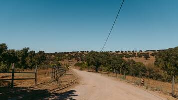 Un camino rural de tierra flanqueado por cercas y vegetación escasa, que lleva a un paisaje montañoso con árboles dispersos.