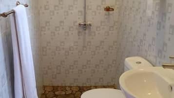Shower, free toiletries, bidet, towels