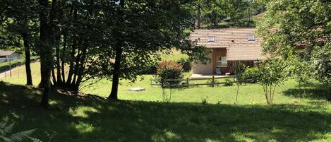 Una casa rodeada de abundante vegetación y árboles.