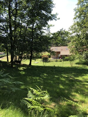 Property grounds - Cocooning spirit" gîte close to hiking trails and cycle path.  (Ramonchamp)