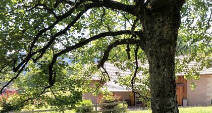 Cocooning spirit" gîte close to footpaths and cycle path