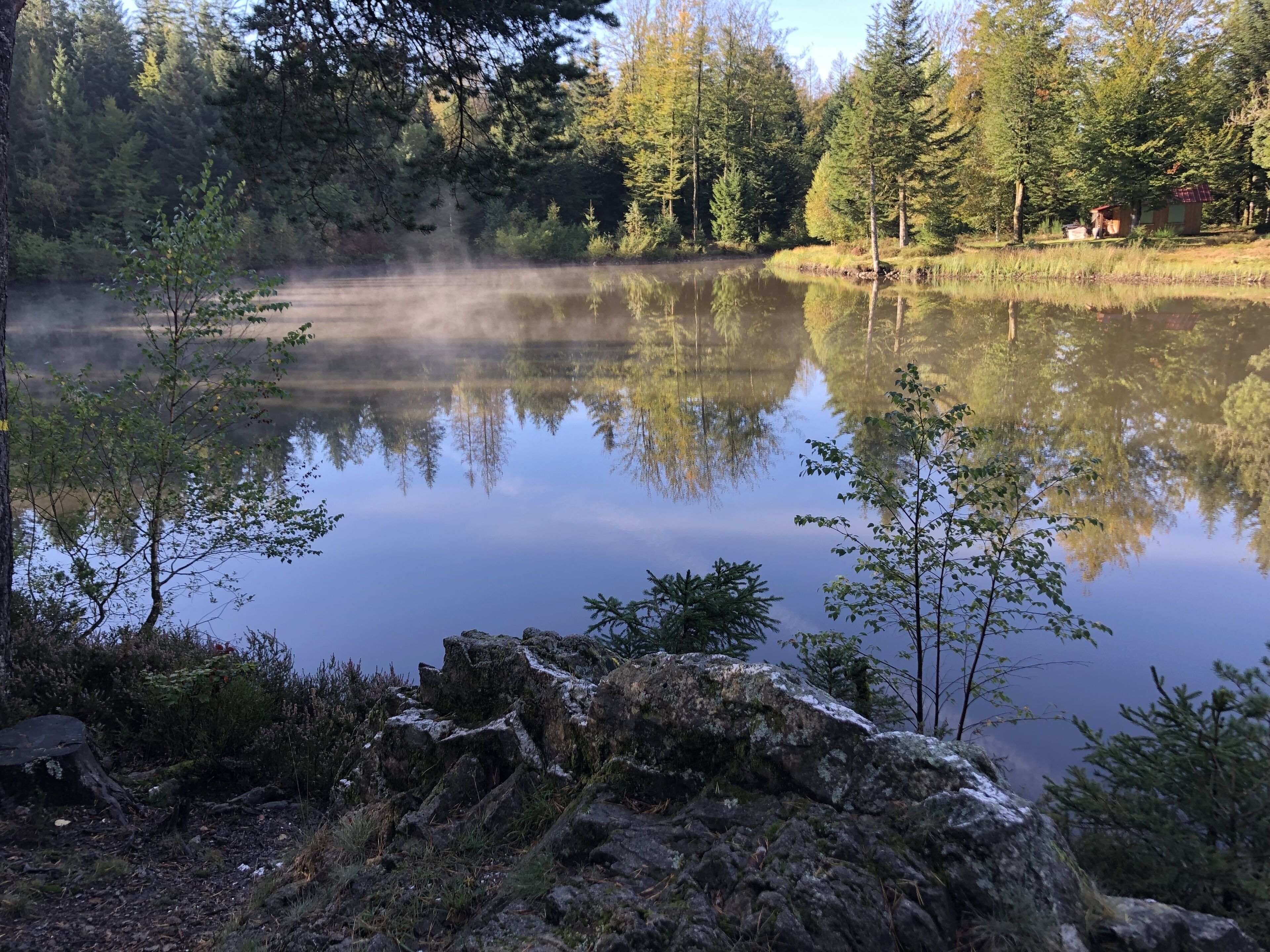 Tyyni järvi, jonka ympärillä on tiheä metsä, ja taustalla näkyy pieni mökki.
