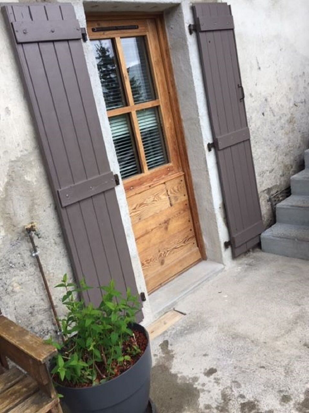 A wooden door with shutters, a concrete floor, and a potted plant.