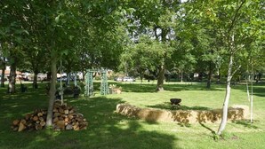 Un parc avec une structure métallique verte, une pile de bois de chauffage et un mur de pierre.