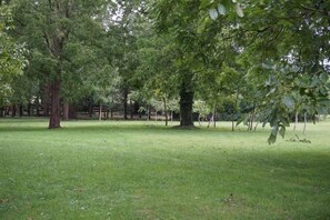 Property grounds - Red Lodge Country House (King's Lynn)