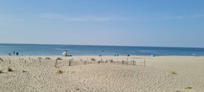 On the beach