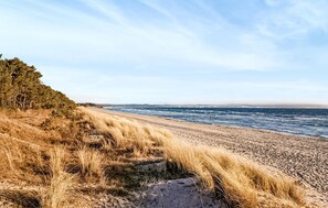 En strand med en sandstrand, gräsklädda sanddyner och ett skogsområde.