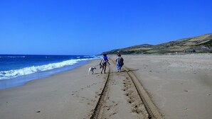 A beach with footprints leading to the water, a dog, and people walking. - DAR CLARA, or DAR FKRUN (Double room) (Arcila-Mejlaw)