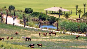 A grassy field with horses grazing, a small pond, and a thatched-roof structure. - DAR CLARA, or DAR FKRUN (Double room) (Arcila-Mejlaw)