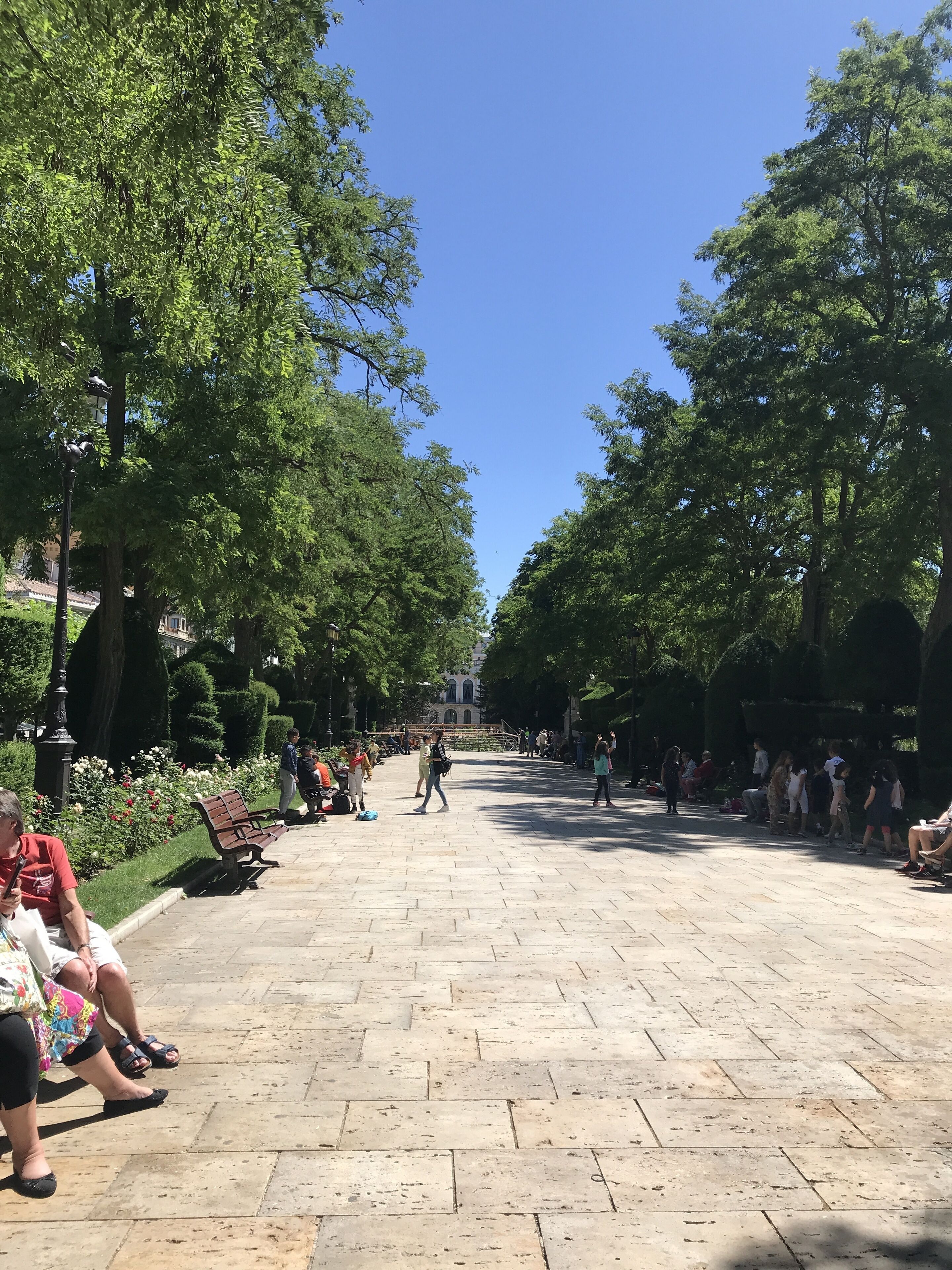 Un sendero pavimentado bordeado de árboles y bancos, con gente caminando y sentada.