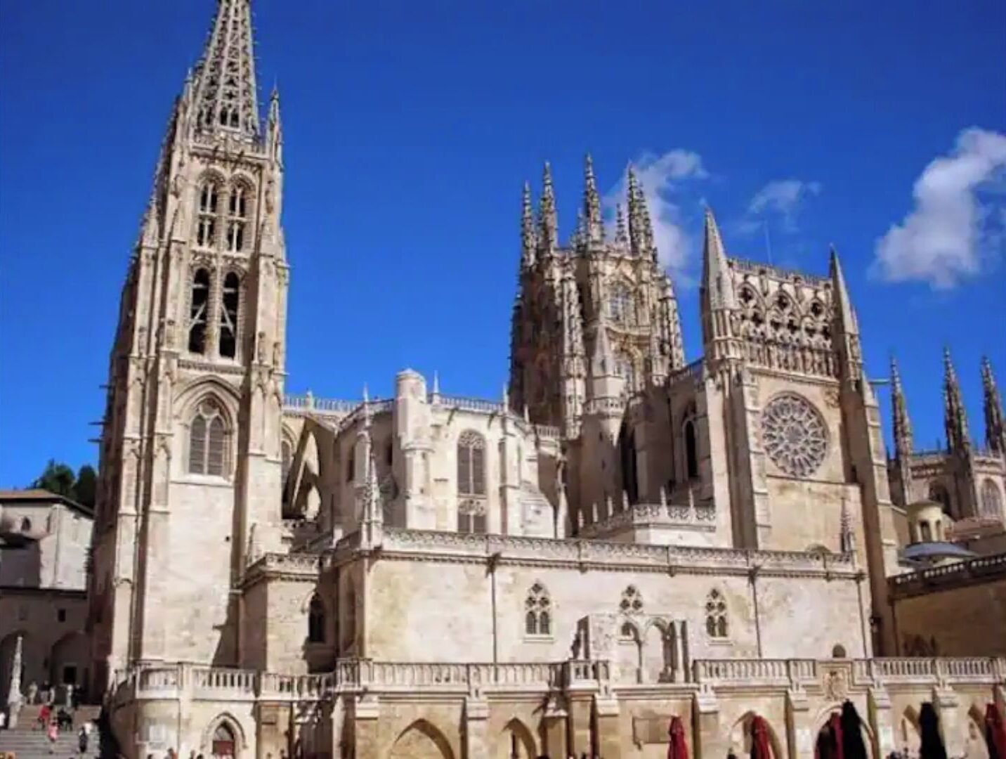 Una catedral histórica con arquitectura gótica intrincada, que incluye una aguja alta y detallada ornamentación pétrea.