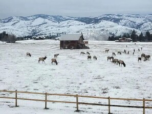Esportes de neve e esqui