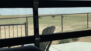 Une vue depuis une fenêtre dotée d’un cadre en métal, avec une chaise à l’intérieur. Dehors, on aperçoit un espace clos où se trouvent des chevaux, et le ciel est dégagé.