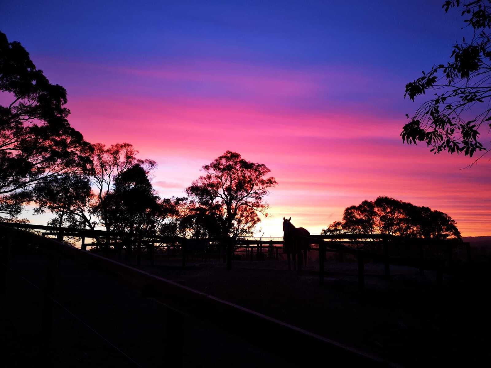 Equine retreat stay with silver medal Olympian