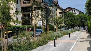 A street with a bike lane, buildings, and greenery. - Charming bright T2, balcony, parking, telework (Annecy)