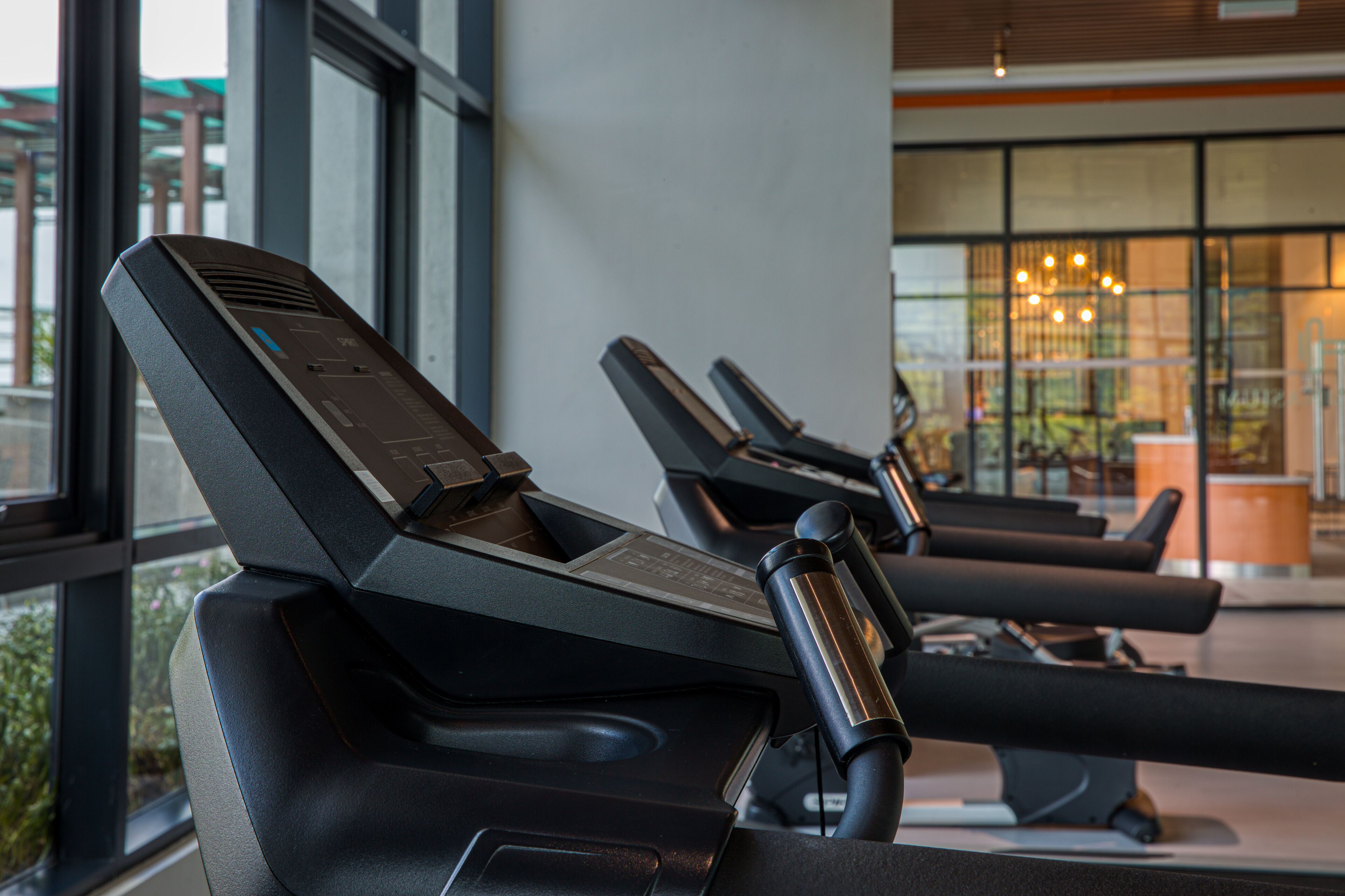 Eine Reihe von stehenden Trainingsrädern in einem Fitnessstudio mit großen Fenstern und Blick auf Grünflächen.