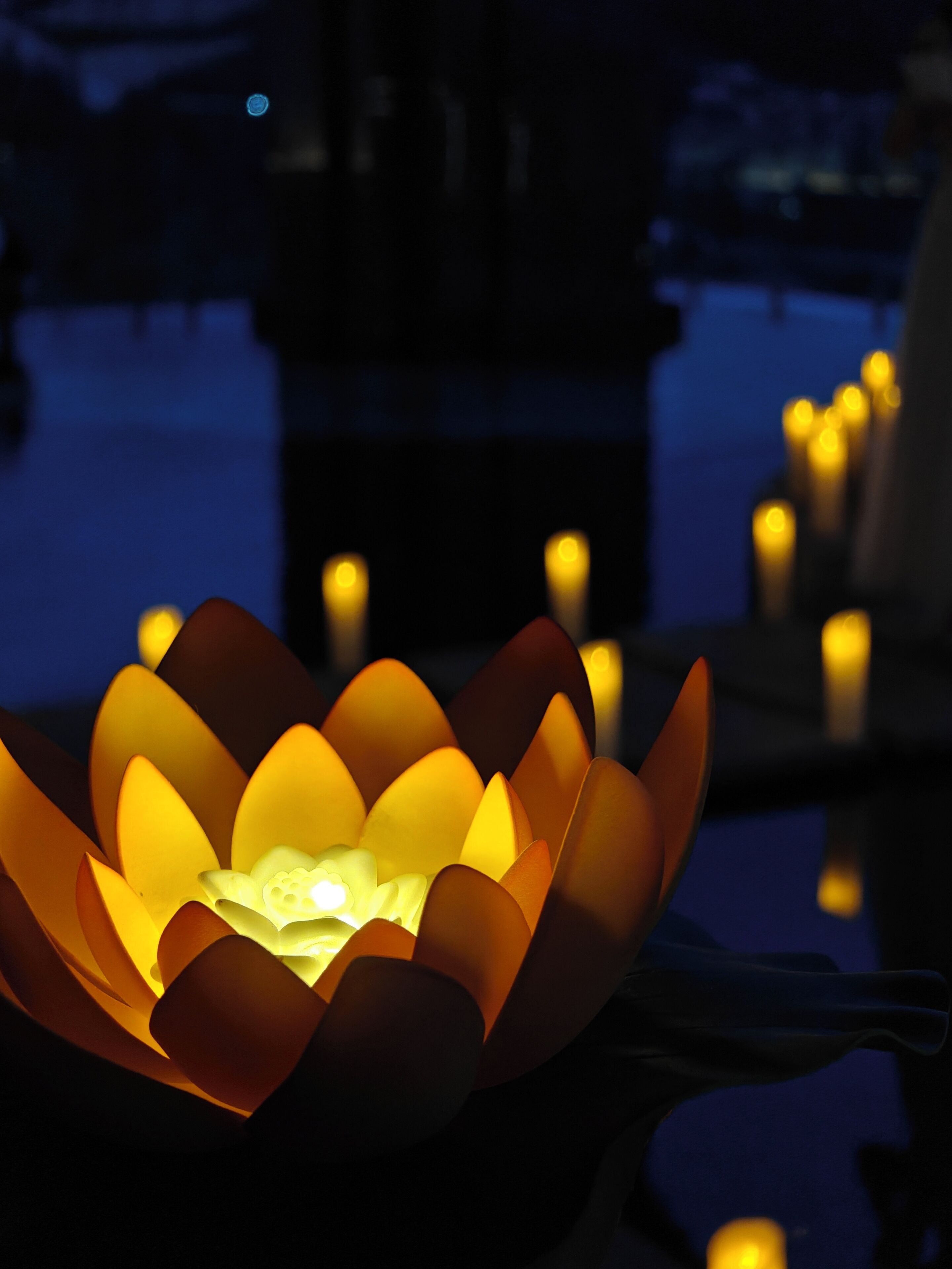 A lotus-shaped light installation with a glowing center, surrounded by smaller lights, set against a dark background.