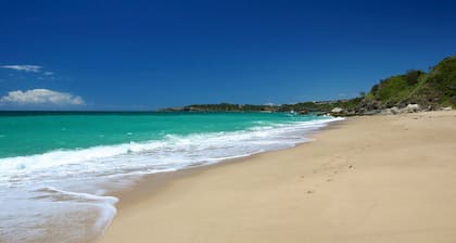 Coffs Jetty Beach House