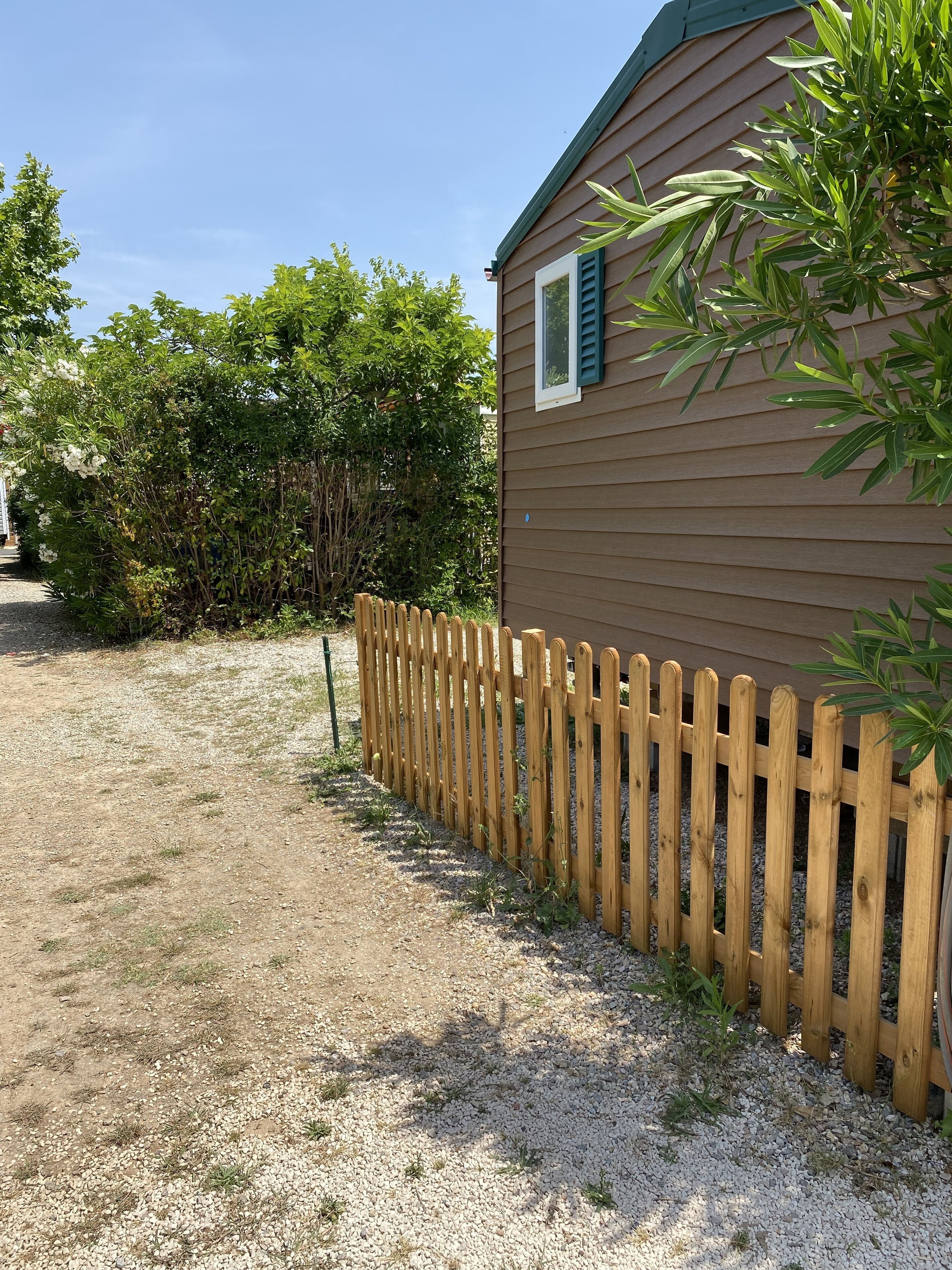 A wooden fence, a gravel path, and dense foliage.