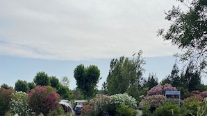 A serene riverside area with a grassy bank, trees, and a sign indicating a location.