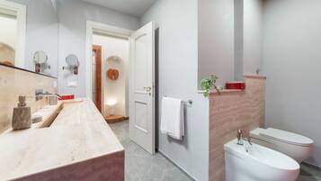 Shower, hair dryer, bidet, towels