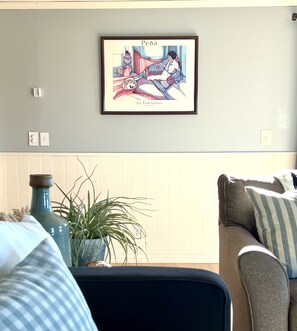 Smart TV, DVD player, books