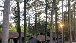 Una hilera de cabañas con un sendero de grava que las separa, rodeadas de árboles altos.