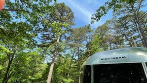 A trailer with 'AIRSTREAM' branding parked in a forested area with trees and a clear sky.