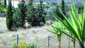 A coastal view with a clear sky, a distant cityscape, and a foreground of trees and a fence. - 2 Coastal villas 5 min. From beach. Panoramic view of sea and sunset (Καλύβια Θορικου)