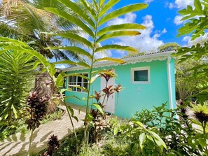 Property grounds - Gites in Gosier with swimming pool (Le Gosier)