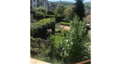 APPARTEMENT CENTRE VILLE TERRASSE JARDIN GARAGE Chez Priscilla