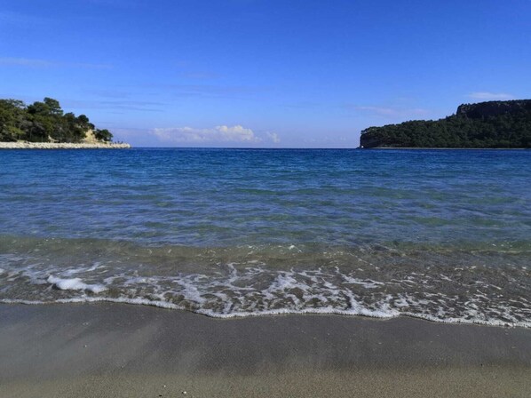 Servicio gratuito de transporte a la playa