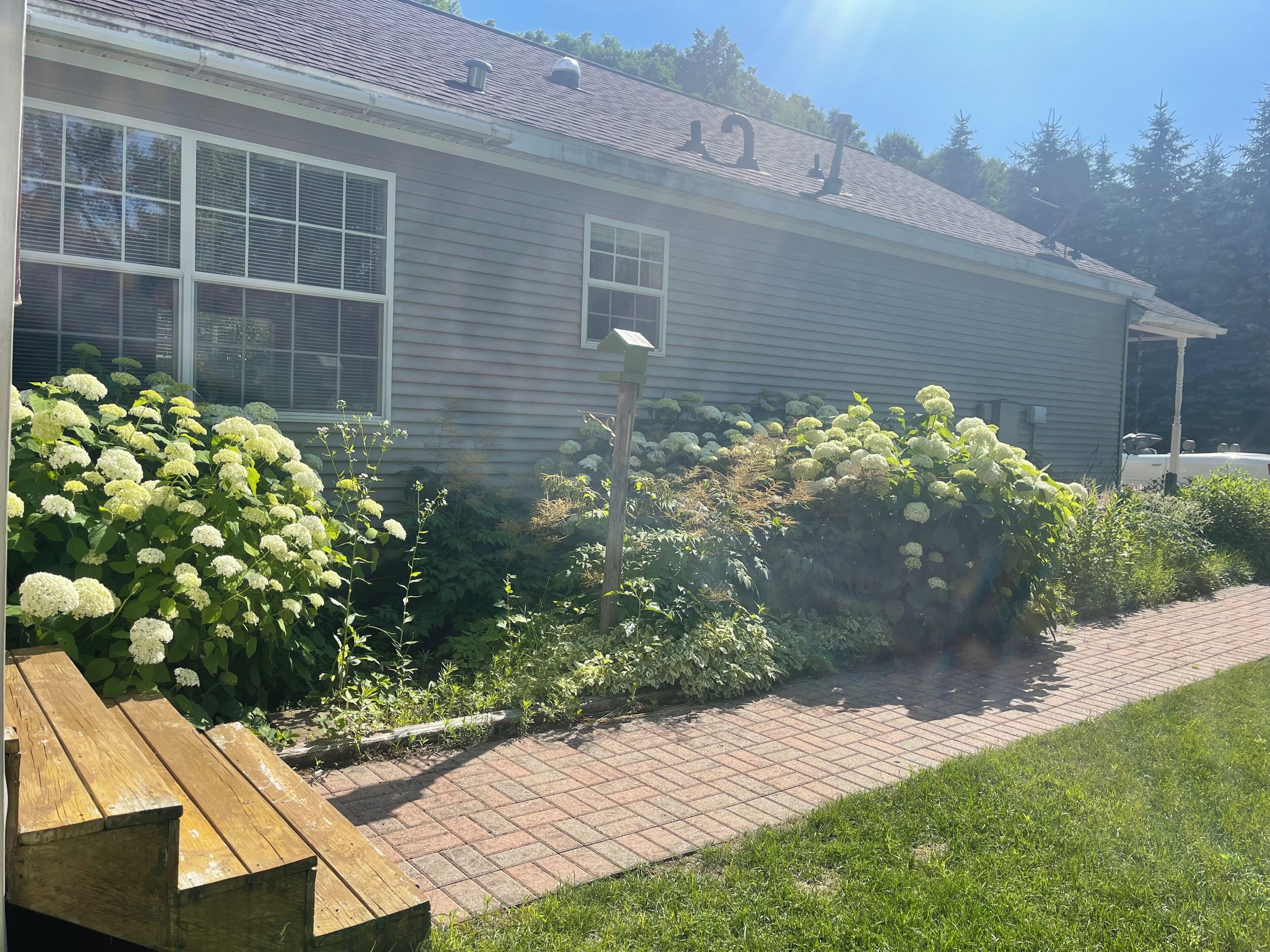 A house with a brick pathway leading to a wooden bench.
