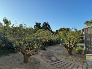 المنطقة المحيطة بالمنشأة