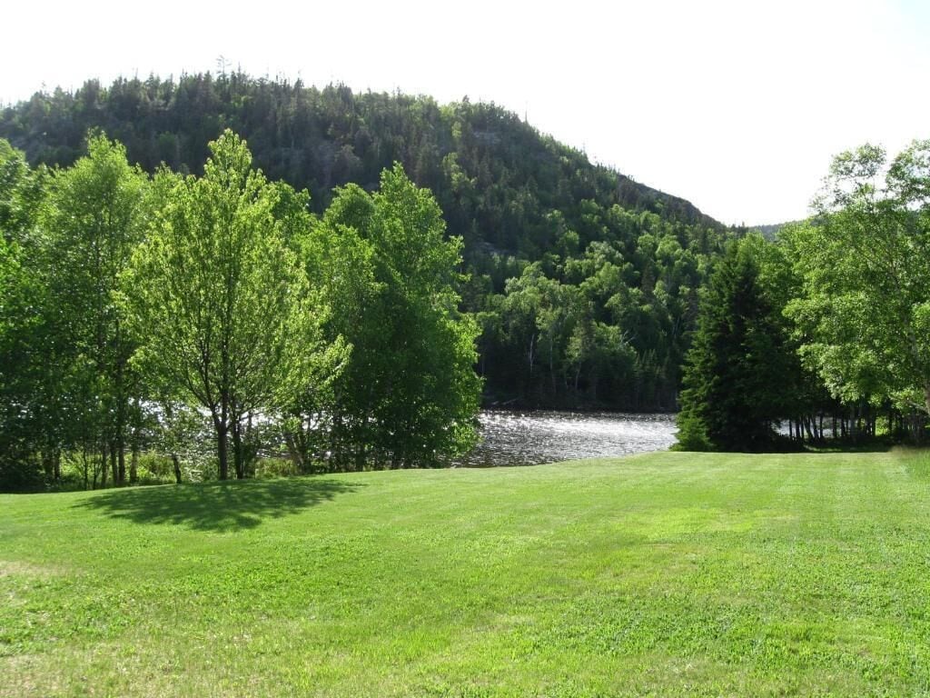 Un campo cubierto de hierba con árboles y una colina al fondo.