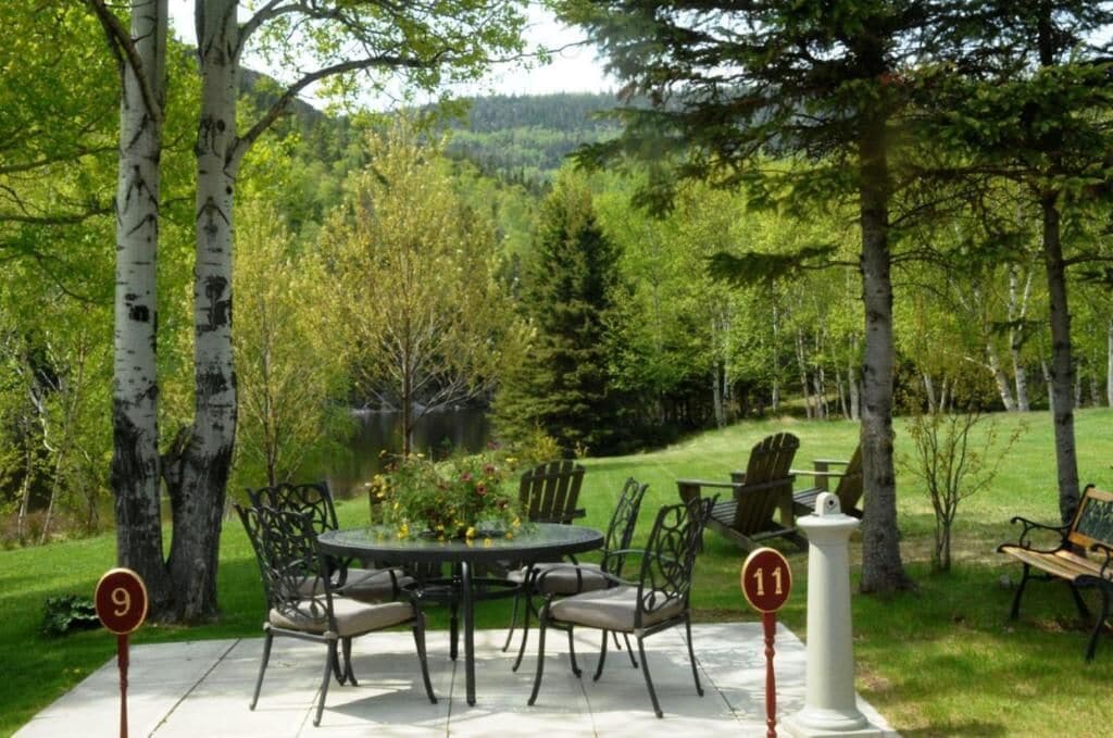 A patio with a round table and chairs, surrounded by birch trees and a grassy area.