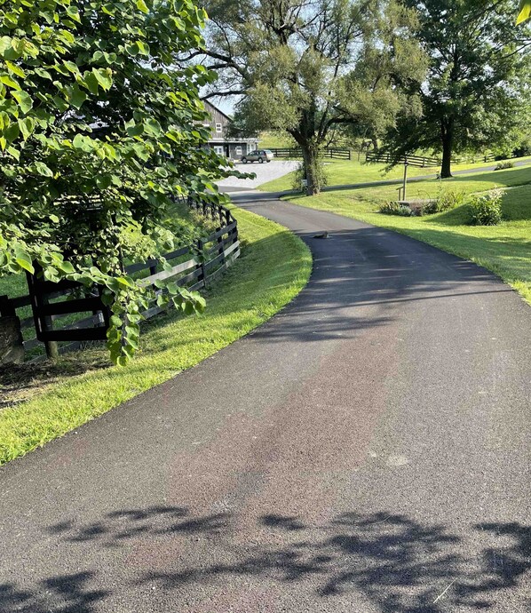 A paved rural road with a wooden fence on one side and a grassy area with trees on the other.