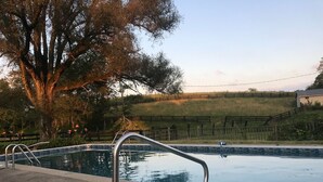 Una piscina con escaleras de metal, rodeada por un pavimento de hormigón y un árbol grande.