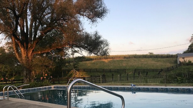 Ein Schwimmbecken mit Metallleitern, umgeben von einer Betonplattform und einem großen Baum.