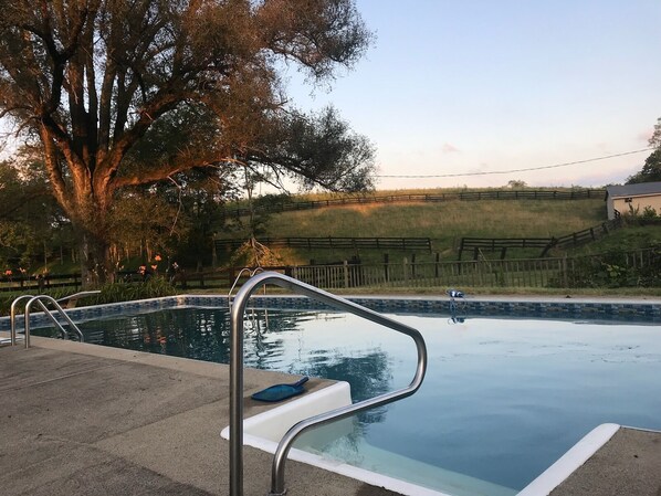 Une piscine avec des échelles en métal, entourée d’une terrasse en béton et d’un grand arbre.