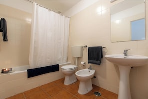 Combined shower/tub, hair dryer, bidet, towels