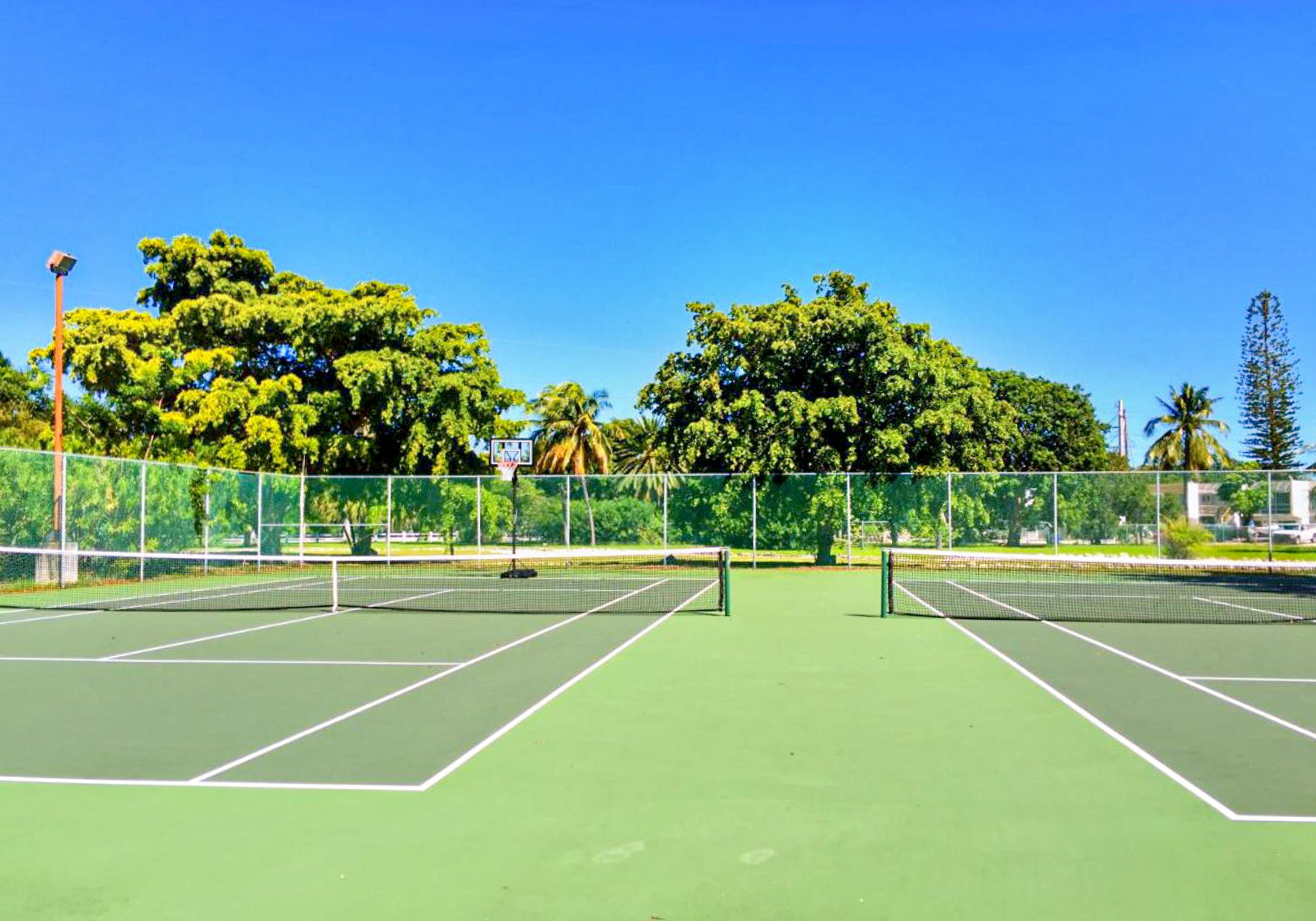 Un court de tennis en plein air, doté d’une surface verte, entouré d’une clôture et d’arbres.