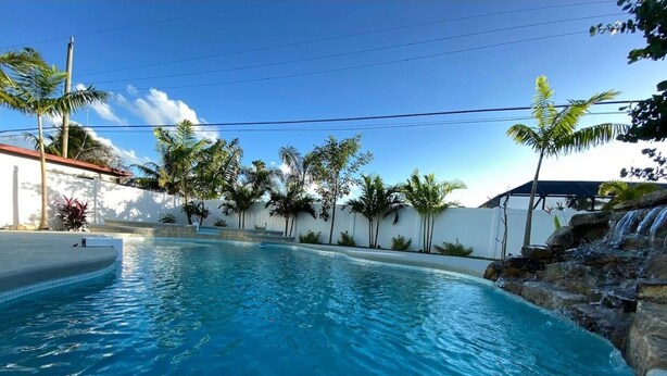 Una piscina con borde curvo, rodeada por un muro blanco bajo y palmeras.