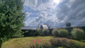 Un jardin résidentiel avec une maison en arrière-plan, entouré de différentes plantes et sous un ciel dégagé.