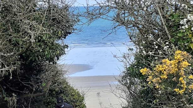 A pathway leading to a beach with a clear view of the ocean. - Maison Bord de mer avec Jardin clos 3 CH/7 Personnes Plage à 550m (HILLION)