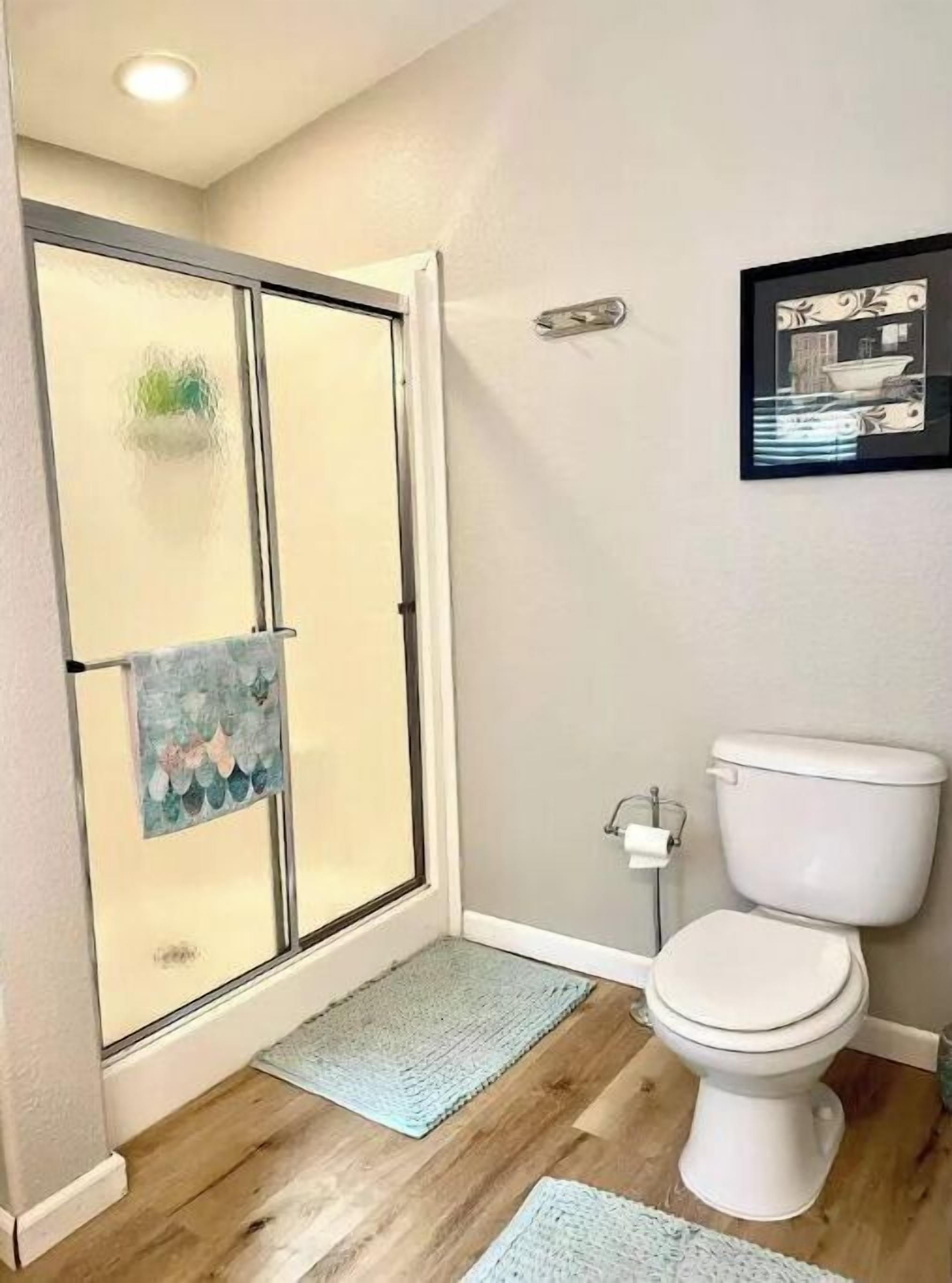 Een badkamer met een douchecabine van glas, een toilet, een inlijsting foto aan de muur en een klein vloerkleed.