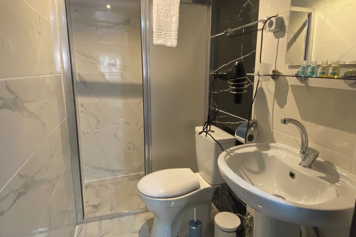 A modern bathroom with a shower, toilet, and sink.