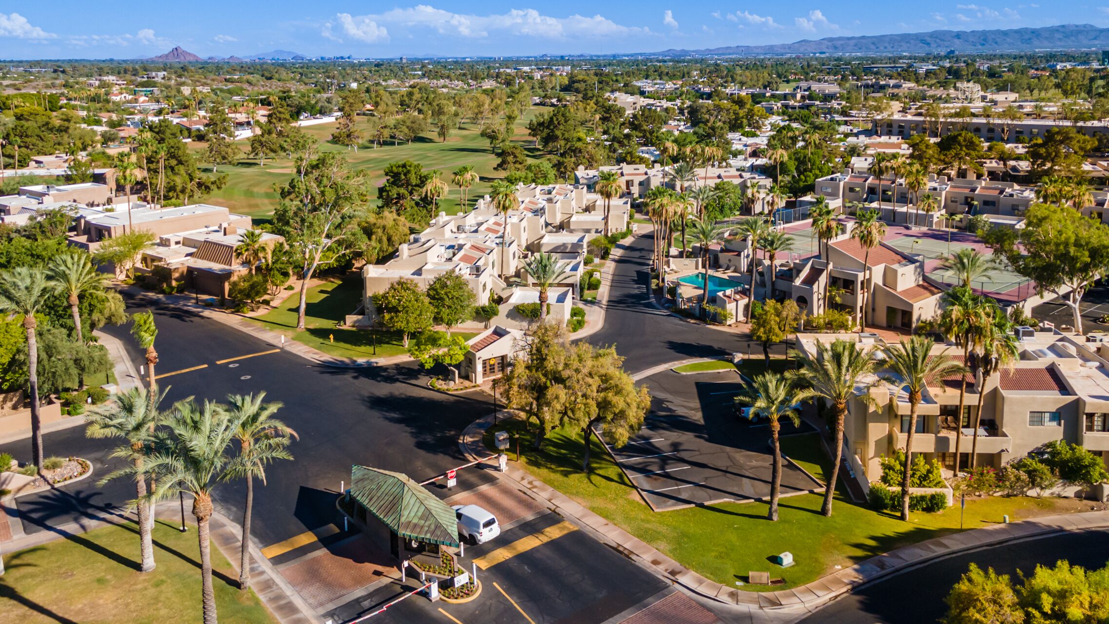 A residential area with houses, palm trees, and a road.